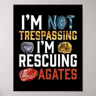 Ich bin nicht gegen die Rettung des Agates Geologe Poster