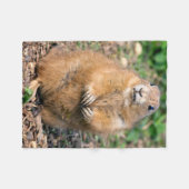 Ich bin nicht, ich bin Cuddly Fleece-Decke fett Fleecedecke (Vorderseite (Horizontal))