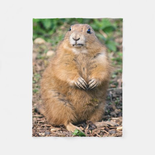 Ich bin nicht, ich bin Cuddly Fleece-Decke fett Fleecedecke (Vorderseite)