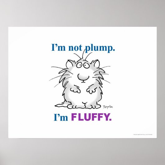 ICH BIN NICHT PLUMP, ICH BIN FLUFFY Poster von San (Vorne)