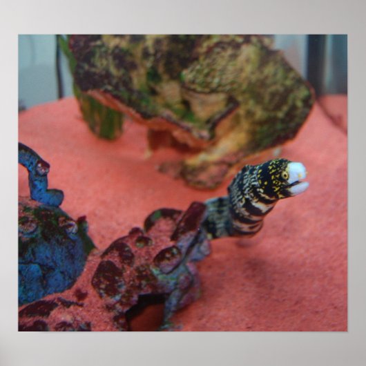 Ich bin NICHT schlank! Poster (Vorne)