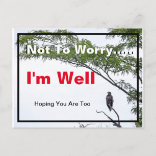 Ich bin nun, Lone Young Eagle Postkarte