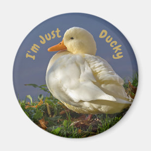 Ich bin nur Ducky Magnet