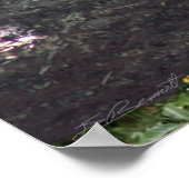 Ich bin nur ducky! Poster -36x24 -andere Größen (Ecke)