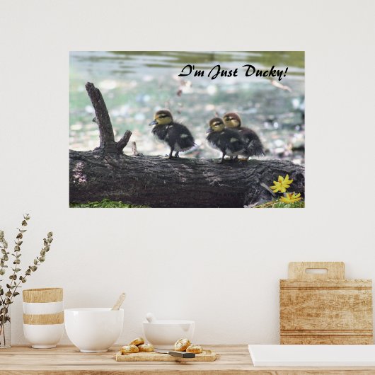 Ich bin nur ducky! Poster -36x24 -andere Größen (Küche)