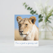 Ich bin nur ein pussy Katzenkatzenlilie Foto mit T Postkarte (Stehend Vorderseite)