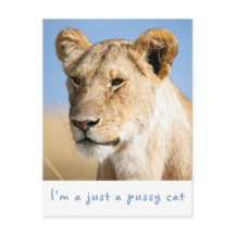 Ich bin nur ein pussy Katzenkatzenlilie Foto mit T