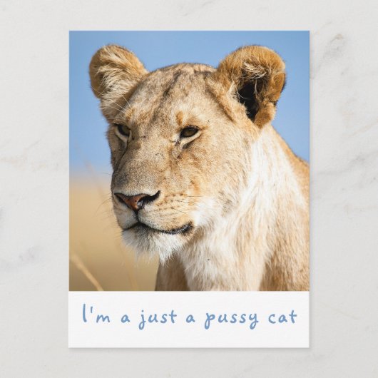 Ich bin nur ein pussy Katzenkatzenlilie Foto mit T Postkarte (Vorderseite)