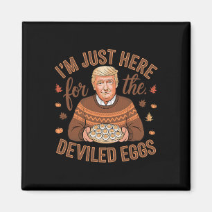 Ich bin nur hier wegen der Eier mit Füllung Lustig Magnet