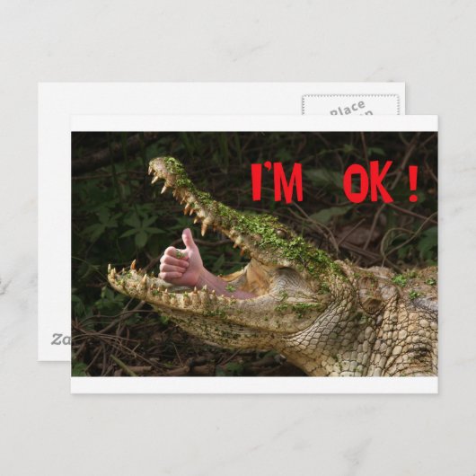 Ich bin ok! postkarte (Vorne/Hinten)