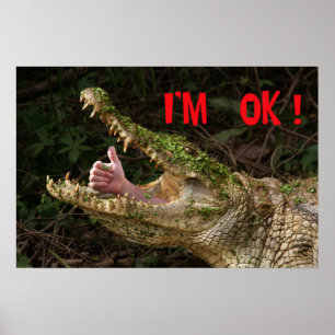 Ich bin okay! poster