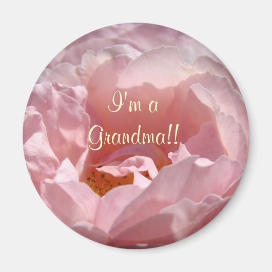 Ich bin Oma! Der Magnet Sunlit Pink Rose Blume (Vorne)