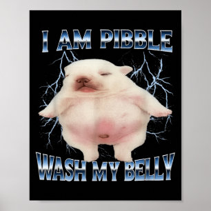Ich bin Pibble, wasche meinen Bauch, lustiger Hund Poster
