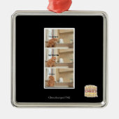 Ich bin Poopin! Silbernes Ornament (Vorne)