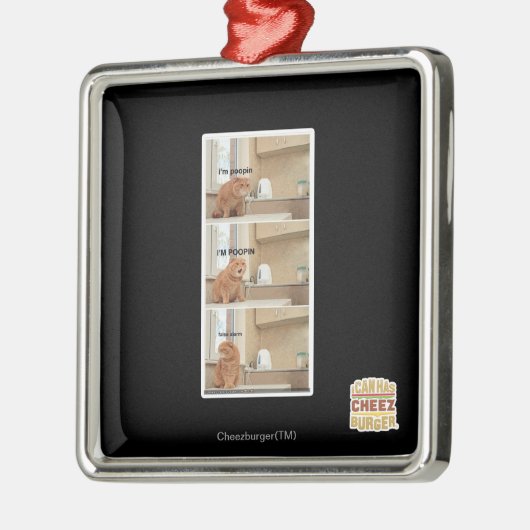 Ich bin Poopin! Silbernes Ornament (Links)