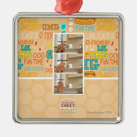 Ich bin poopin! silbernes ornament (Vorne)