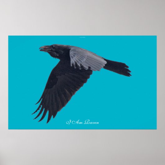 Ich BIN RAVEN / Black Raven Art Poster fliegen (Vorne)