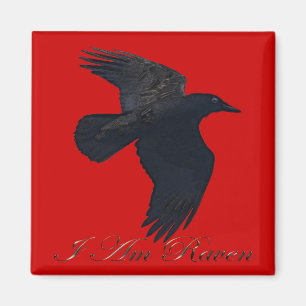 Ich bin RAVEN Flying Crow Art Magnet