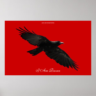 Ich BIN RAVEN III Flying Black Raven Art Poster