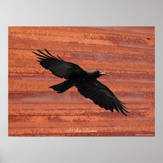 Ich BIN RAVEN III Flying Black Raven Art Poster (Vorne)
