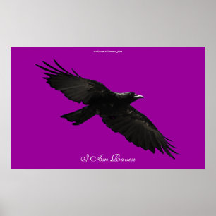 Ich BIN RAVEN III Flying Black Raven Art Poster