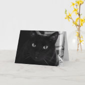 Ich bin schockiert Black Cat Birthday Card Karte (Gelbe Blume)