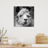 Ich bin schön poster (Küche)