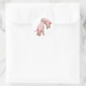 Ich bin schön runder aufkleber (Tasche)