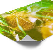 Ich bin schüchtern poster (Ecke)