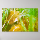 Ich bin schüchtern poster (Vorne)