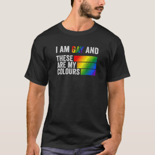 Ich bin schwul und das sind meine Farben T-Shirt