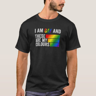 Ich bin schwul und das sind meine Farben T-Shirt