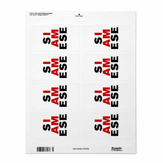 ICH BIN SIAMESE (Vorne)