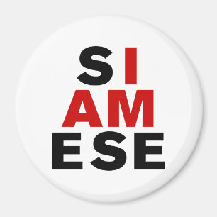 ICH BIN SIAMESE MAGNET