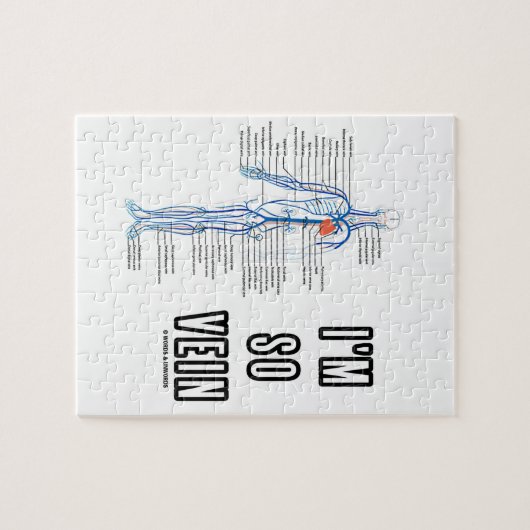 Ich bin so Ader (Kreislaufsystem-Anatomie-Adern) Puzzle (Horizontal)