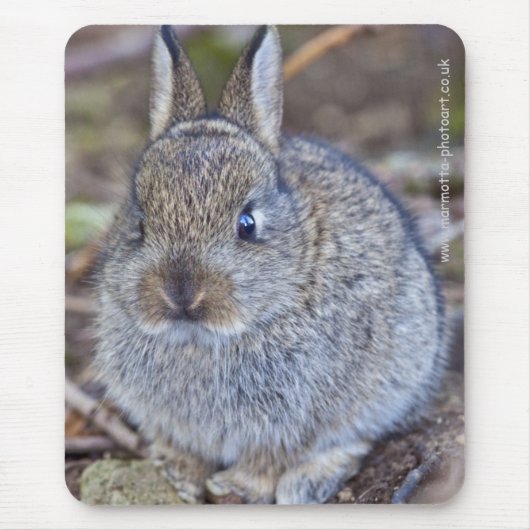 Ich bin so ein Schatz! Mousepad (Vorne)