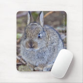 Ich bin so eine Süsse! Mousemat Mousepad (Mit Mouse)