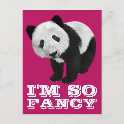 ICH BIN SO EXTRAVAGANT PANDA BEAR POSTCARD POSTKARTE (Vorderseite)