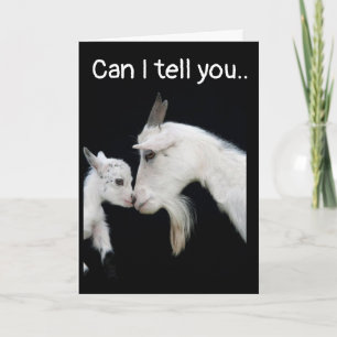 ICH BIN SO **SAD** UND SO **SORRY** CARD KARTE