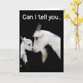 ICH BIN SO **SAD** UND SO **SORRY** CARD KARTE (Gelbe Blume)