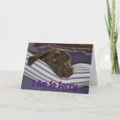 Ich bin so Sorry Labrador Retriever Belated Geburt Karte (Vorderseite)