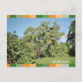 Ich bin stark postkarte (Vorderseite)