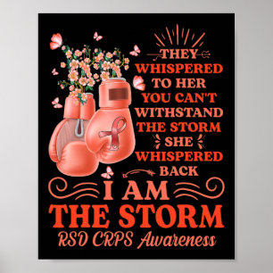 Ich bin Storm Rsd Crps Bewusstsein Boxhandschuhe, Poster