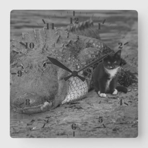 Ich bin tapfer, wie wäre es mit dir? Kitten und A Quadratische Wanduhr