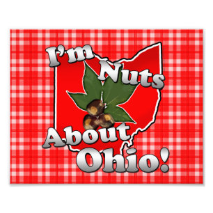 Ich bin über Ohio, lustige rote Rosskastanien-Nus Fotodruck