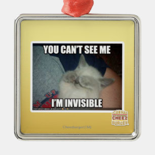 Ich bin unsichtbar silbernes ornament