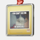 Ich bin unsichtbar silbernes ornament (Links)