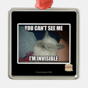 Ich bin unsichtbar silbernes ornament
