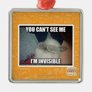 Ich bin unsichtbar silbernes ornament