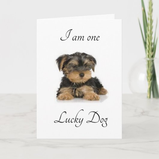 ICH BIN "VERHEIRATET IHNEN" LUCKY DO ICH BIN KARTE (Vorderseite)